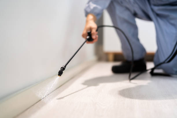 Licensed Cockroach Control service in Bray, OK - Nex Pest Control