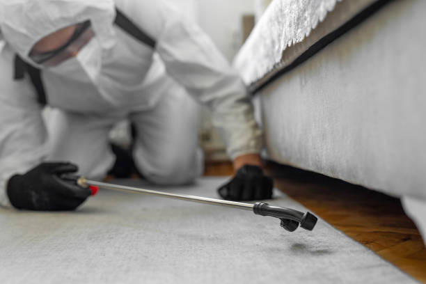 Professional Cockroach Control technician working in Bray, OK