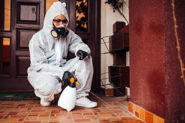 Reliable Cockroach Control contractor in Bray, OK by Nex Pest Control